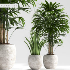 plants 114 3D Model