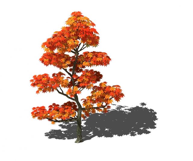 Game Models – Forest Trees – Maple Leaf 3D Model