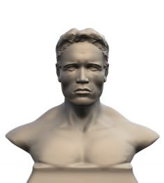 Arnold Schwarzenegger 3DModel Printer friendly version 3D Model