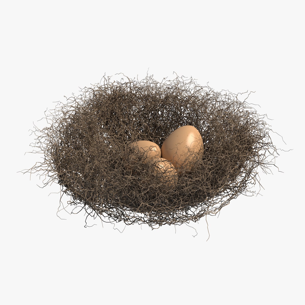 Nest 3D model 3D Model