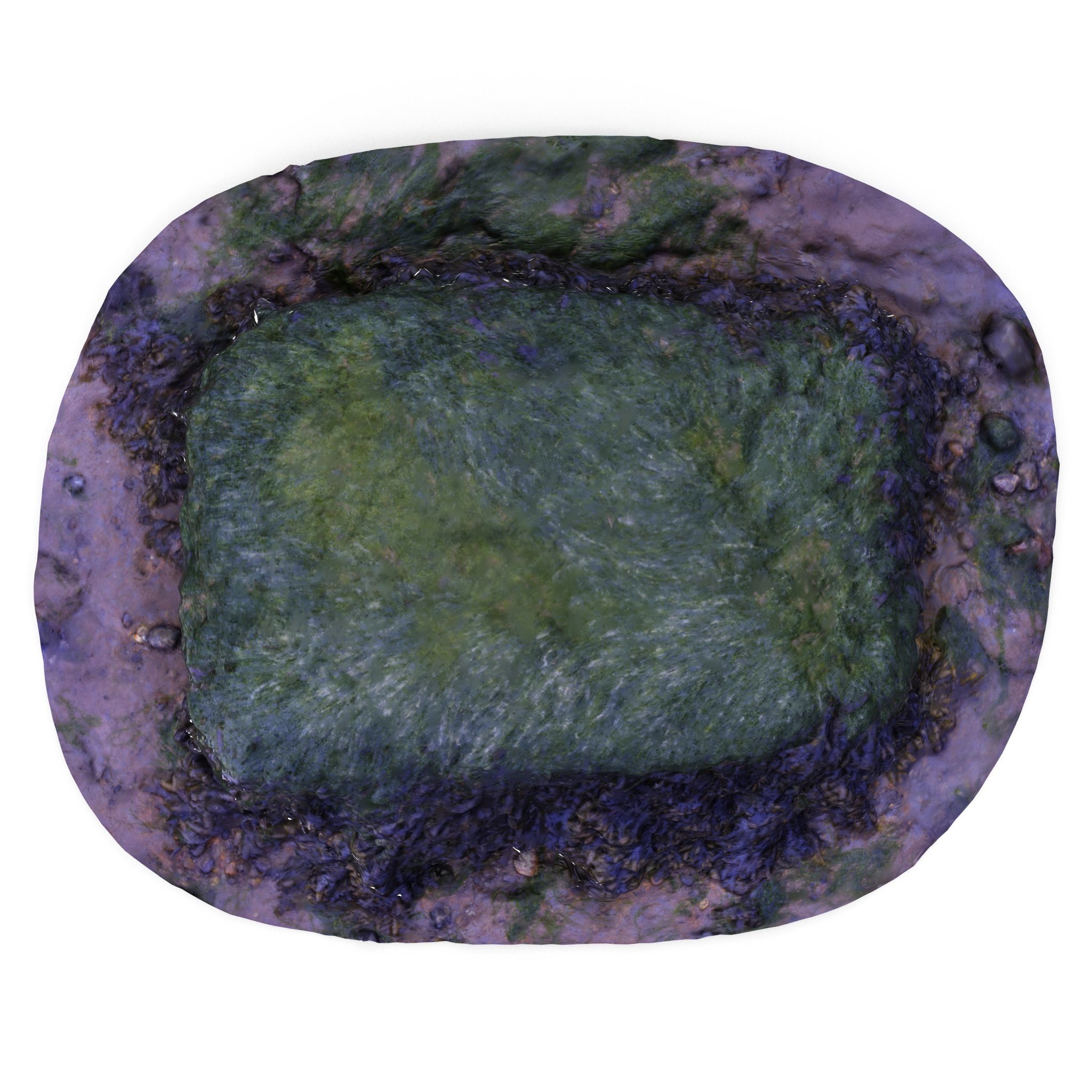 Seaweed Rock – High & Low Poly 3D model 3D Model