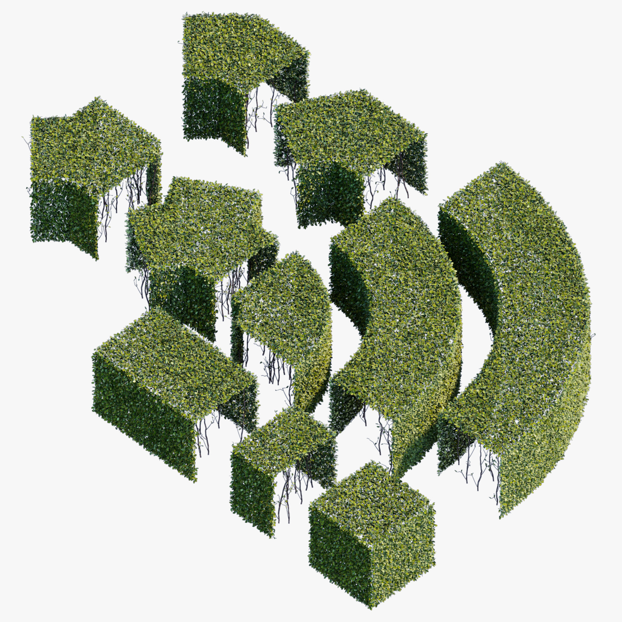 3D Hedge 600×600(h) model 3D Model