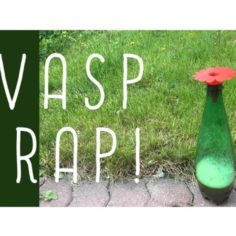 Wasp Trap (redesigned!) 3D Print Model