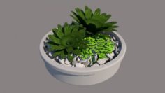 Plant vase 3D Model
