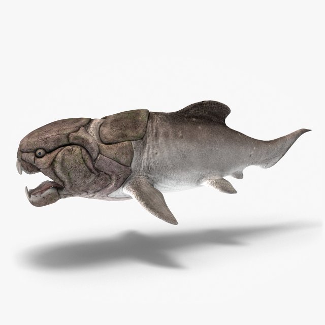 Dunkleosteus 3D Model