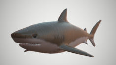 Tiger Shark 3D Model