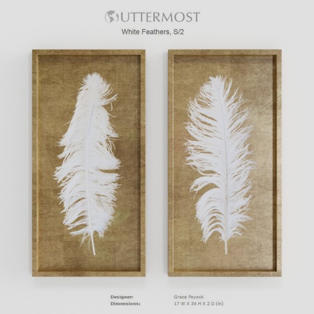 Uttermost White Feathers Gold Shadow Box S2 3D Model