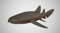 Nurse Shark 3D Model