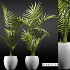 plants 110 3D Model