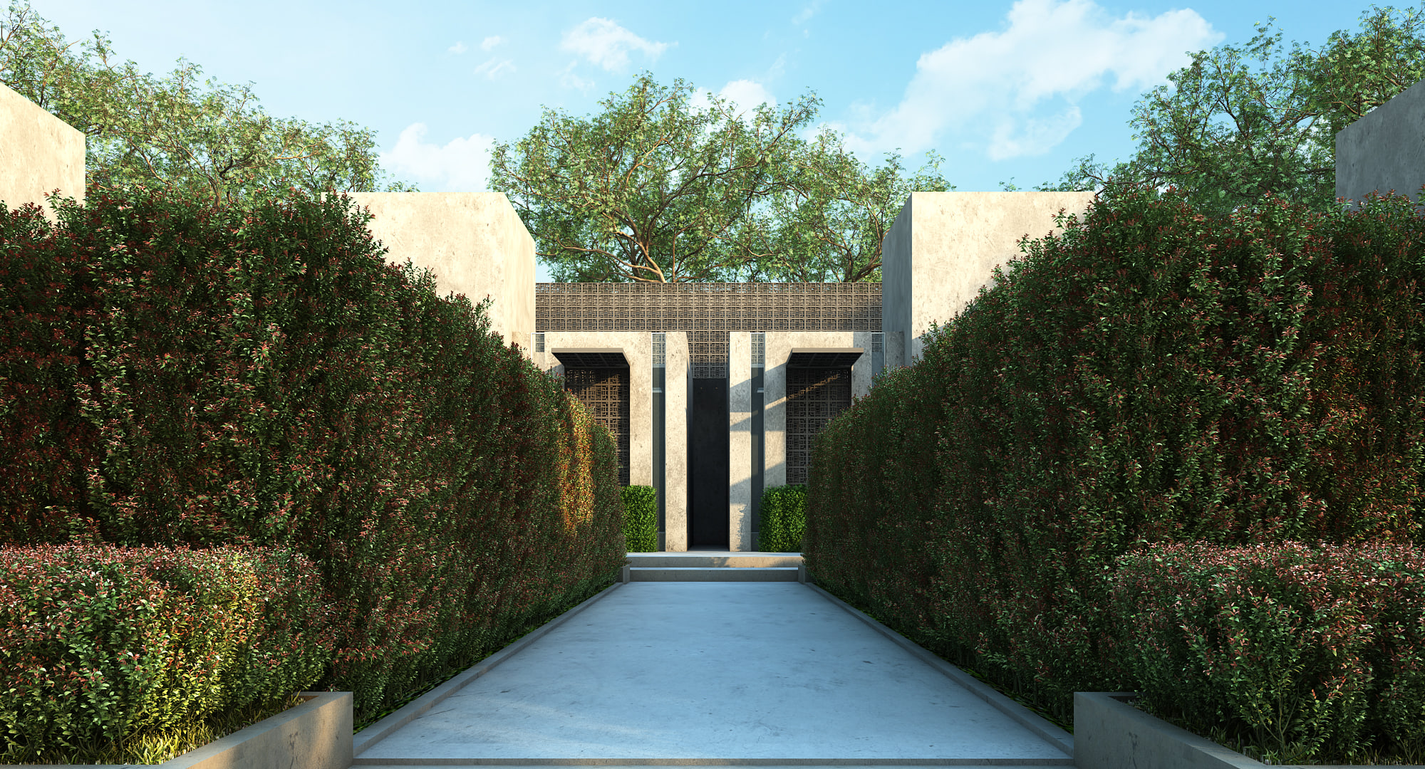syzygium campanulatum 3D Model