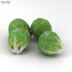 Brussels Sprout 3D Model