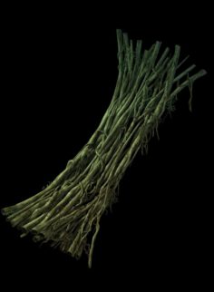 Game Model – Forest – Teng Bridge 05 3D Model