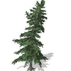 Tree-00011 model 3D Model