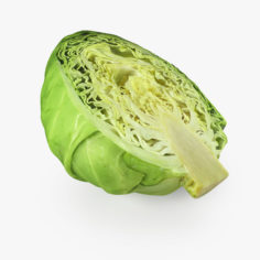 Cabbage Half 3D model 3D Model