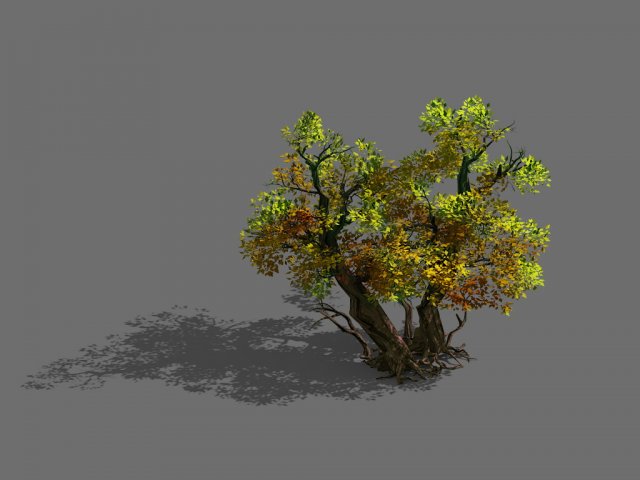 Game Model – Forest – Tree 21 3D Model