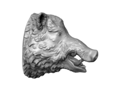 Boars head 3D Model