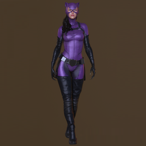 Catwoman DC Comics 3D Model