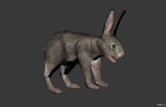 Hare 3D Model