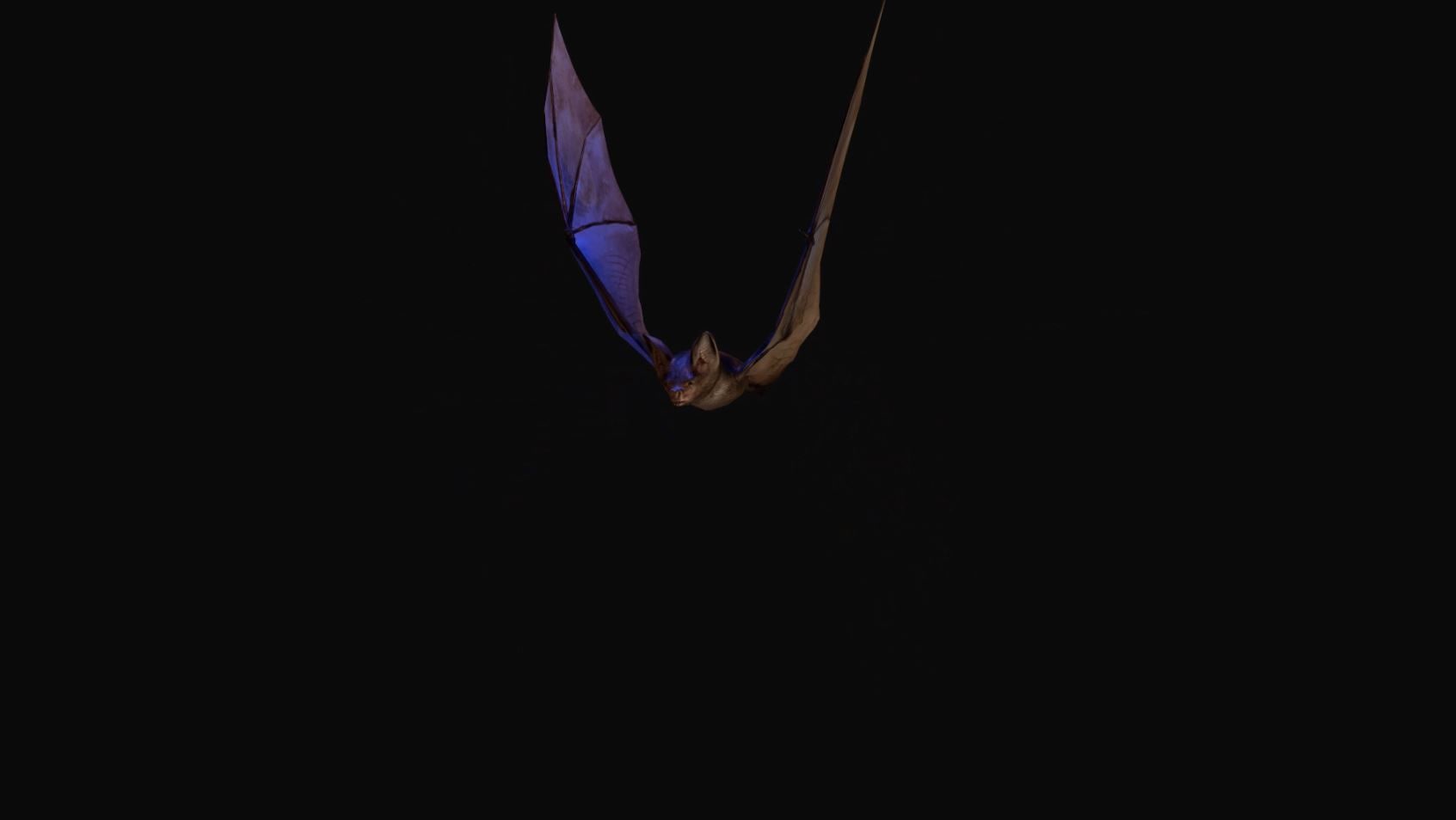 bat flying & element 3d obj seq included 3D Model