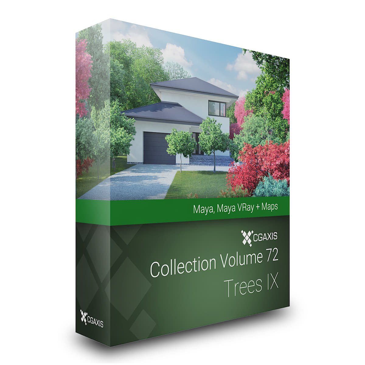 CGAxis Models Volume 72 Trees IX Maya 3D Model
