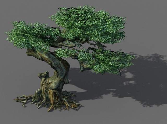 Game Model – Forest – Trees 12 3D Model