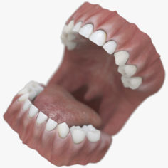 3D Baby Mouth model 3D Model