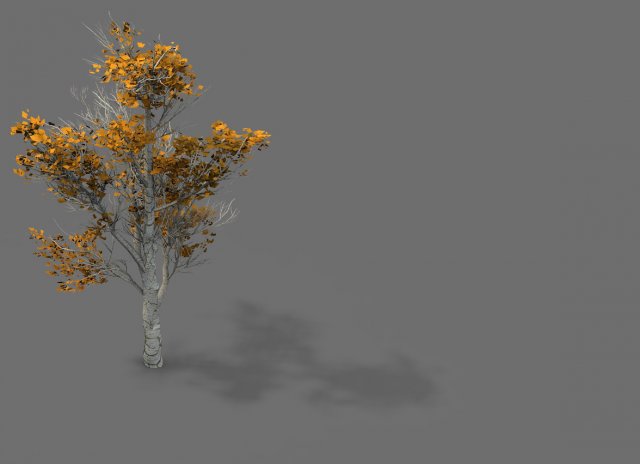 Game Model – Desert – Trees 03 3D Model