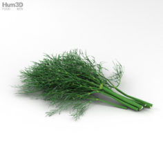 Dill 3D Model