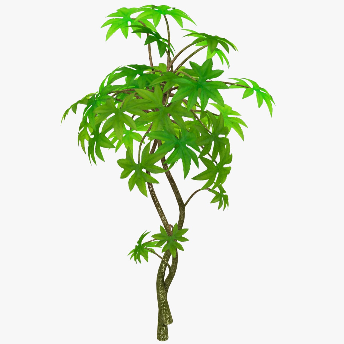 Small Tree 3D Model