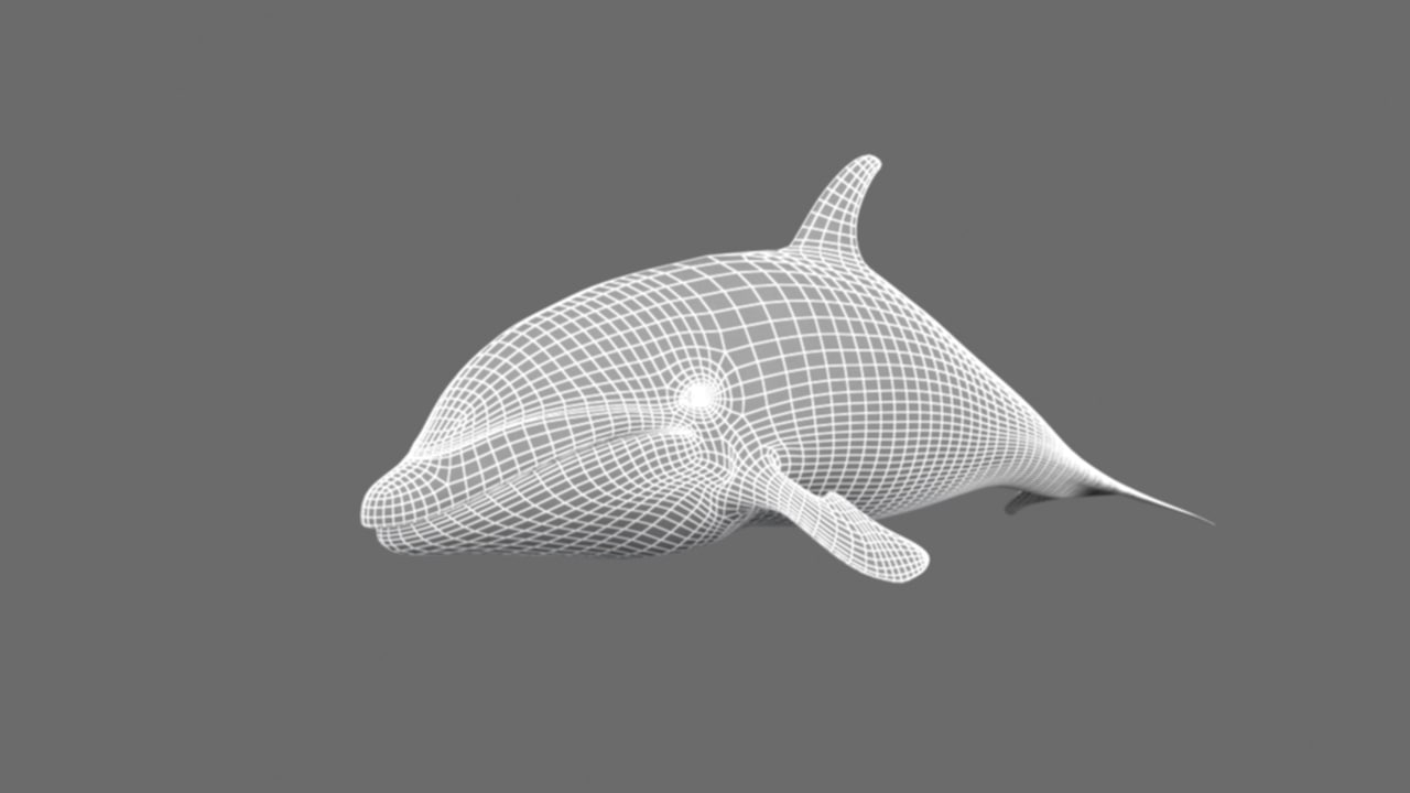Dolphin 3D Model