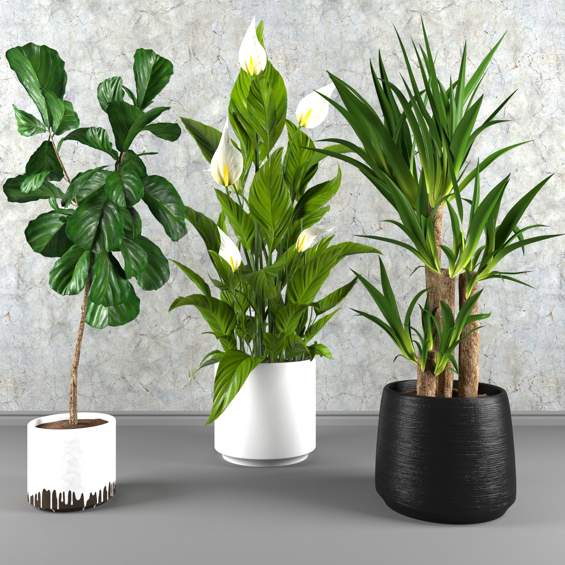Contemporary house plant set 3D Model