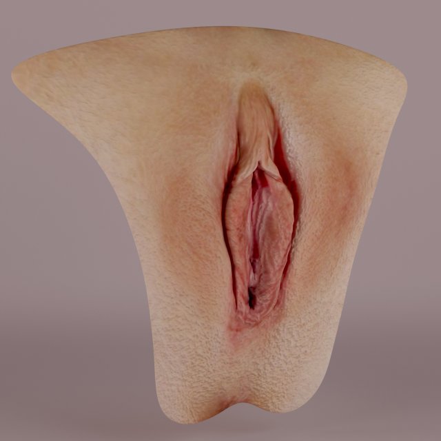 Female Genital Vagina 3D Model