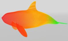 Grampus Whale VR – AR – low-poly 3D Model