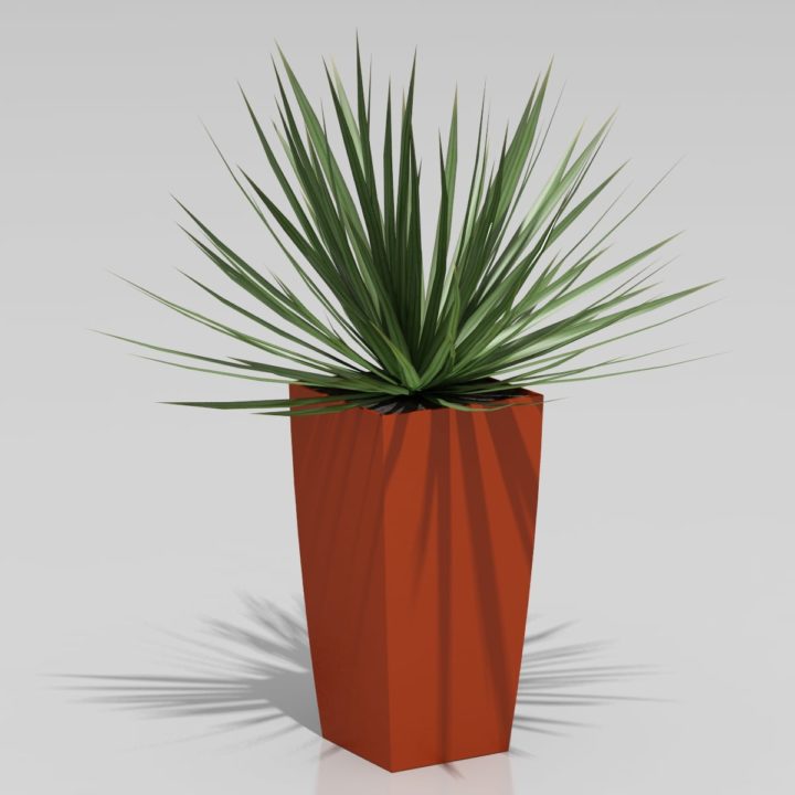 Plant 001 model 3D Model