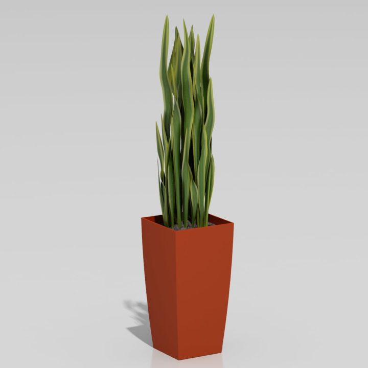 Plant 002 model 3D Model