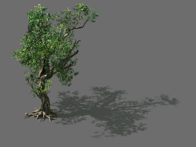 Game Models – Forest – Trees 03 3D Model