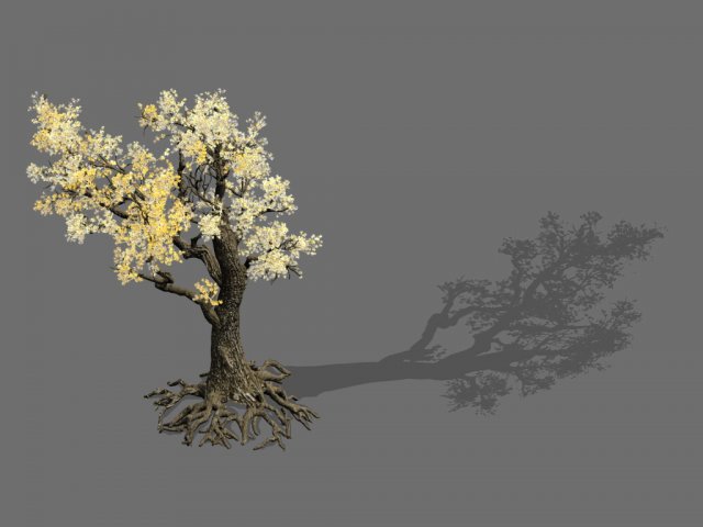 Game Models – Forest – Trees 05 3D Model