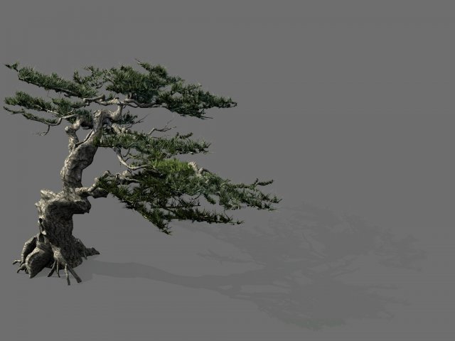 Game Model – Forest – Pine Tree 01 – Tree – Stone 3D Model