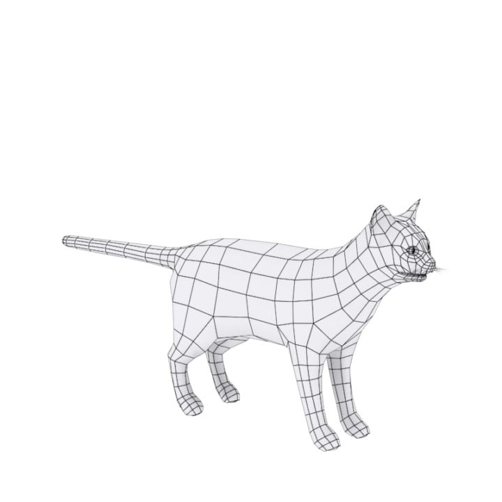 Cat 3d 3D model 3D Model