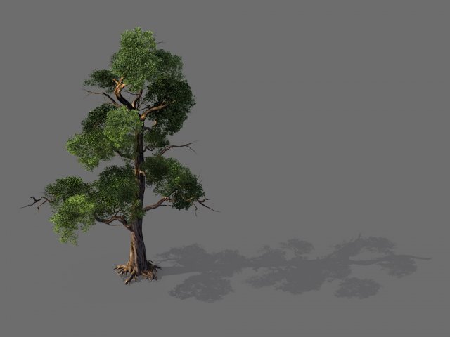 Game Model – Forest – Tree 11 3D Model