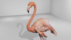 Flamingo Animated 3D Model