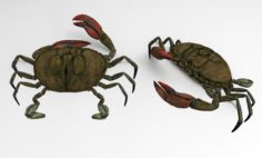 crab 3d 3D Model