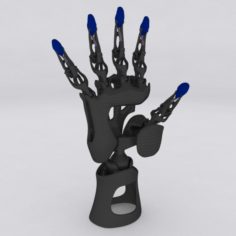 Biomechanical Articulated Hand 3D Model