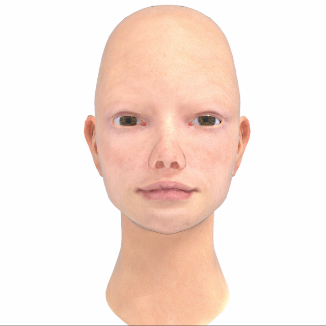Base head photoreal 3D Model