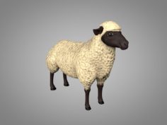 Sheep or Ram 3D Model
