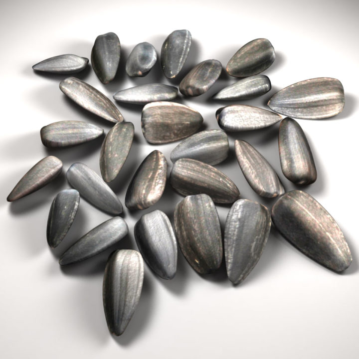 Sunflower Seeds 3D model 3D Model