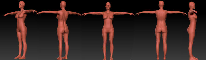 Female base mesh for sculpt 3D Model