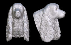 3D cocker spaniel head 3D Model