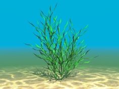 Aquatic Plant 09 Free 3D Model