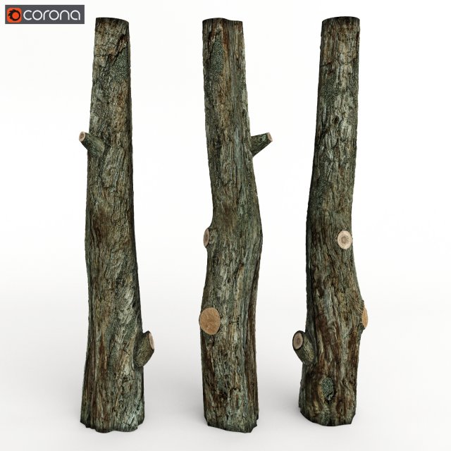 Tree trunk 3D Model